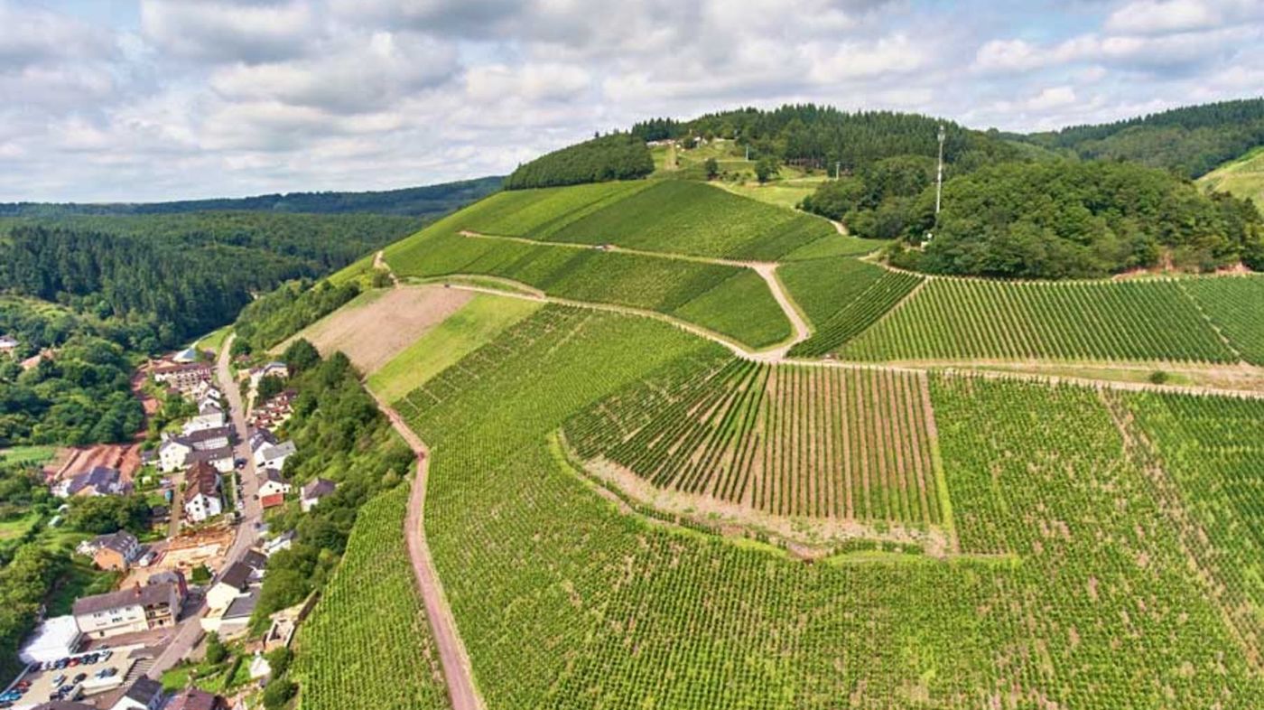 Auf der Rausch wines